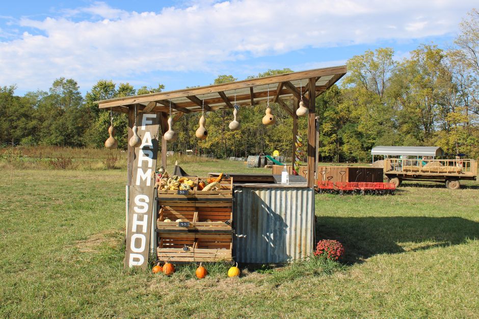 A small farm shop stand situated on a grassy field features a vertical white sign with black lettering that reads 'FARM SHOP'. The structure has a simple wooden frame with a sloped roof made from wooden planks, supported by four posts. Several hanging gourds or ornamental squash are suspended from the roof's edge. The shop display includes wooden crates filled with various produce, possibly vegetables or fruits, placed on a makeshift countertop made from corrugated metal sheets. Pumpkins of different sizes and shades of orange and yellow are positioned at the base of the stand, some on the ground and one leaning against the crates. In the background, a partially visible farm trailer with a white canopy, a wooden cart, and other farm equipment are visible beneath a clear sky with scattered clouds. The overall scene suggests a rustic, rural setting, highlighting independent farm or market-style rubbish removal or waste handling methods occasionally used in rural or farm environments, with the focus on natural materials and outdoor storage.