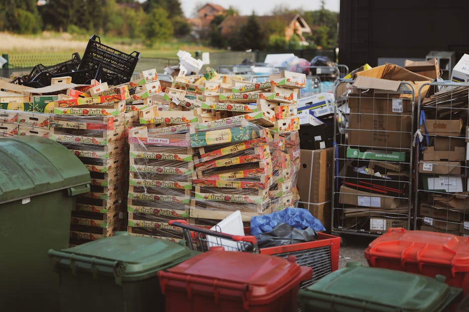 The image shows an outdoor waste collection area with a large number of flattened cardboard boxes stacked on top of each other, predominantly branded with labels for fresh fruits. These cardboard stacks are positioned centrally in the scene, with some boxes showing colourful printed designs and text. Surrounding the stacks are various waste bins and containers, including a green wheelie bin in the foreground, a red bin, and another green one, all with closed lids. To the right, there are metal wire racks holding numerous cardboard boxes and packaging materials, some open and others sealed. A blue plastic bag and several smaller containers are visible among the clutter. The background features a paved or gravel surface, with a grassy area and trees further back, suggesting an outdoor space used for private waste handling or rubbish removal. The lighting indicates daytime with natural sunlight, creating a clear and neutral environment typical of an independent waste collection or rubbish clearance scene, as provided by Waste Removal Barnes.